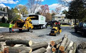  Plumsteadville, PA Tree Services Pros