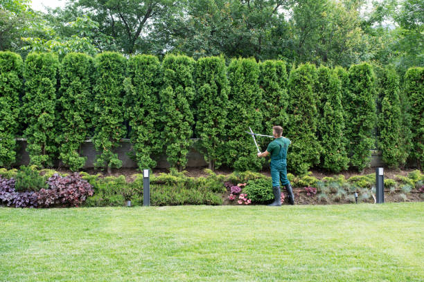 Best Lawn Irrigation Installation and Maintenance  in Plumsteadville, PA